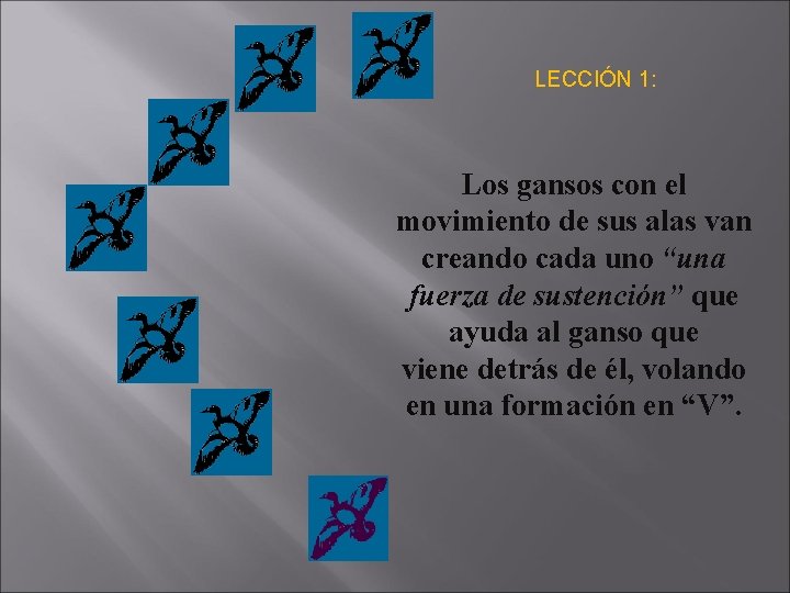 LECCIÓN 1: Los gansos con el movimiento de sus alas van creando cada uno