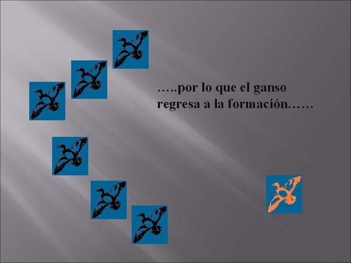 …. . por lo que el ganso regresa a la formación…… 