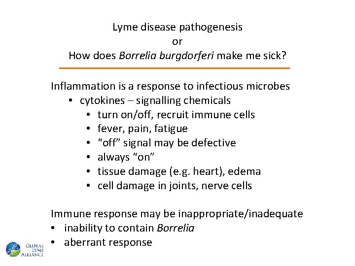 Lyme disease pathogenesis or How does Borrelia burgdorferi make me sick? Inflammation is a