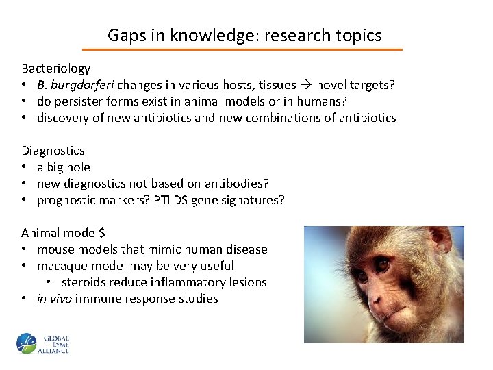 Gaps in knowledge: research topics Bacteriology • B. burgdorferi changes in various hosts, tissues