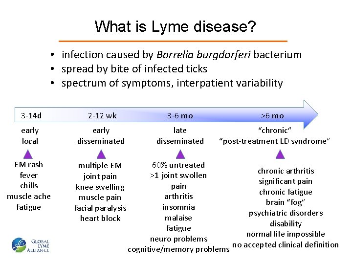 What is Lyme disease? • infection caused by Borrelia burgdorferi bacterium • spread by