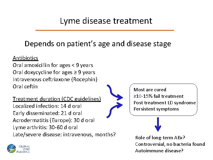 Lyme disease treatment Depends on patient’s age and disease stage Antibiotics Oral amoxicillin for