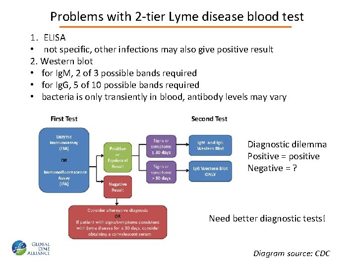Problems with 2 -tier Lyme disease blood test 1. ELISA • not specific, other