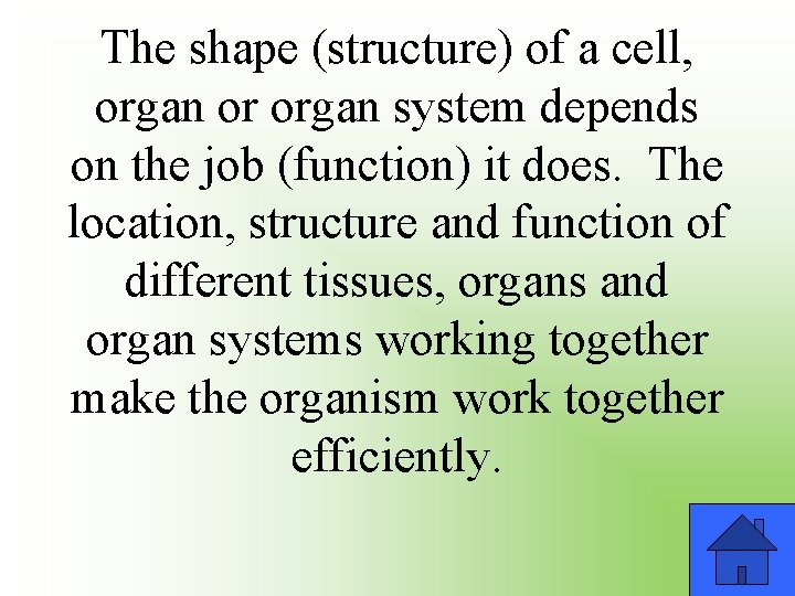 The shape (structure) of a cell, organ or organ system depends on the job