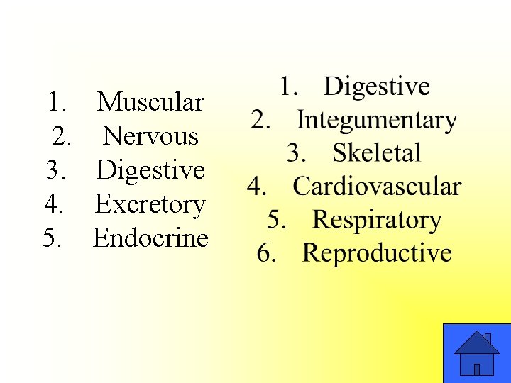1. 2. 3. 4. 5. Muscular Nervous Digestive Excretory Endocrine 