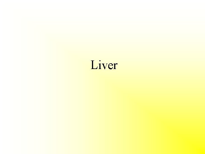 Liver 