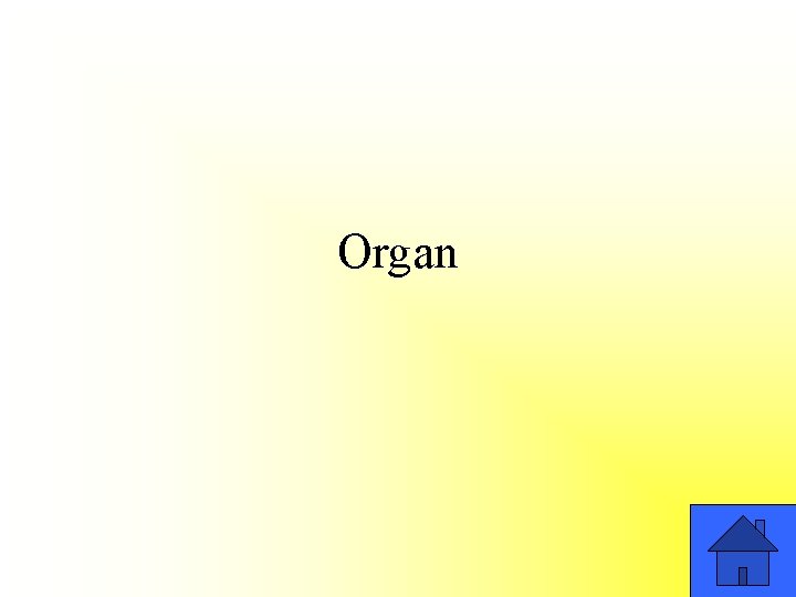 Organ 