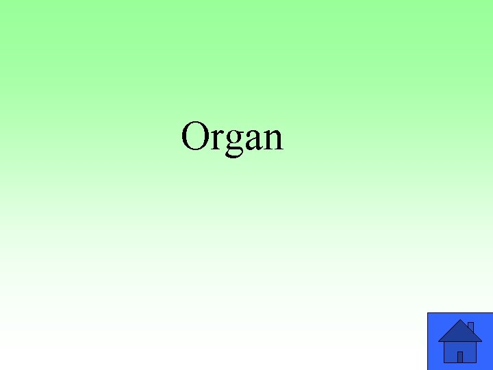 Organ 