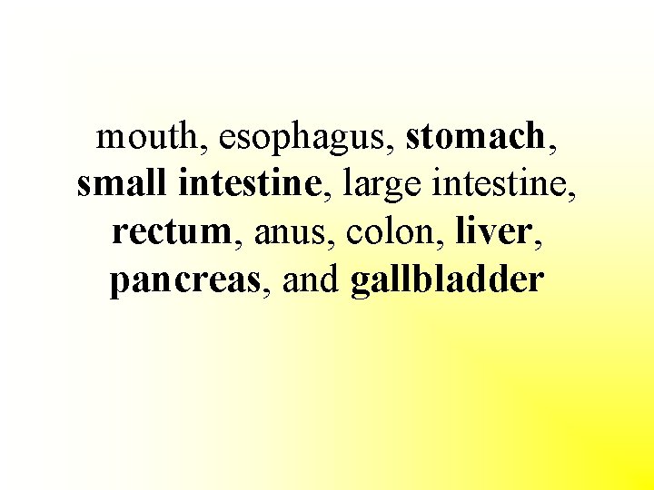 mouth, esophagus, stomach, small intestine, large intestine, rectum, anus, colon, liver, pancreas, and gallbladder