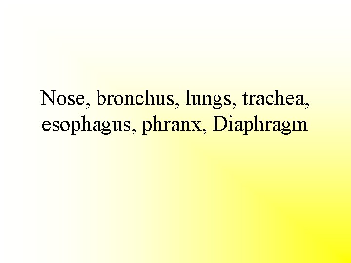 Nose, bronchus, lungs, trachea, esophagus, phranx, Diaphragm 