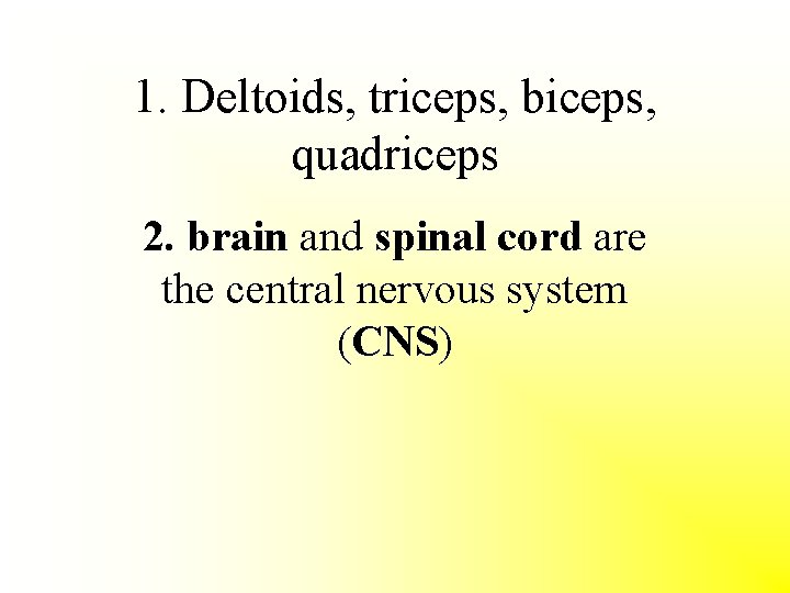 1. Deltoids, triceps, biceps, quadriceps 2. brain and spinal cord are the central nervous