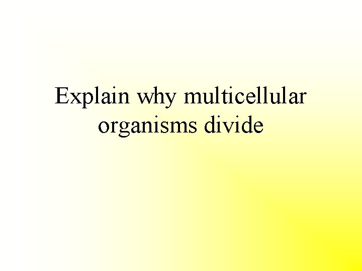 Explain why multicellular organisms divide 
