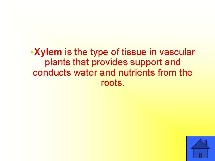  • Xylem is the type of tissue in vascular plants that provides support