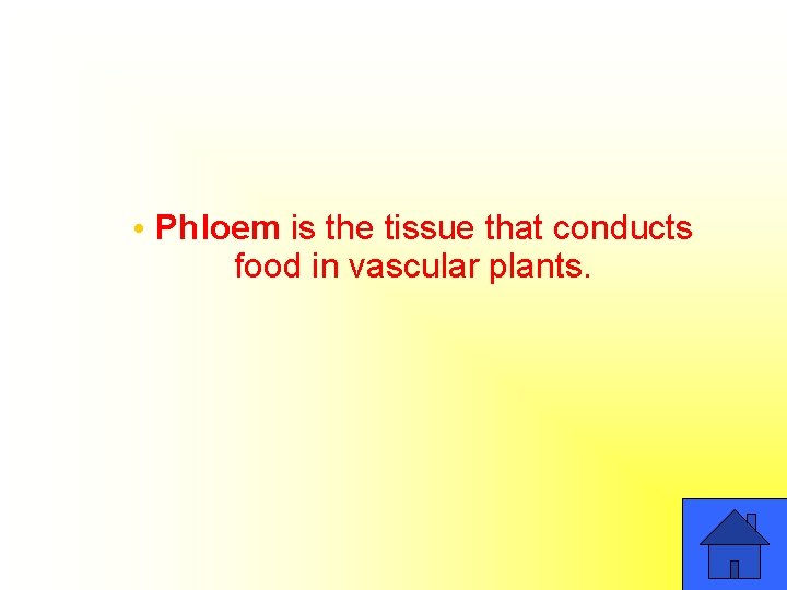  • Phloem is the tissue that conducts food in vascular plants. 