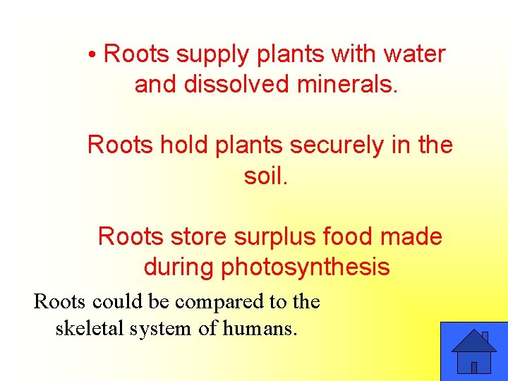  • Roots supply plants with water and dissolved minerals. Roots hold plants securely
