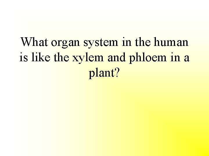 What organ system in the human is like the xylem and phloem in a