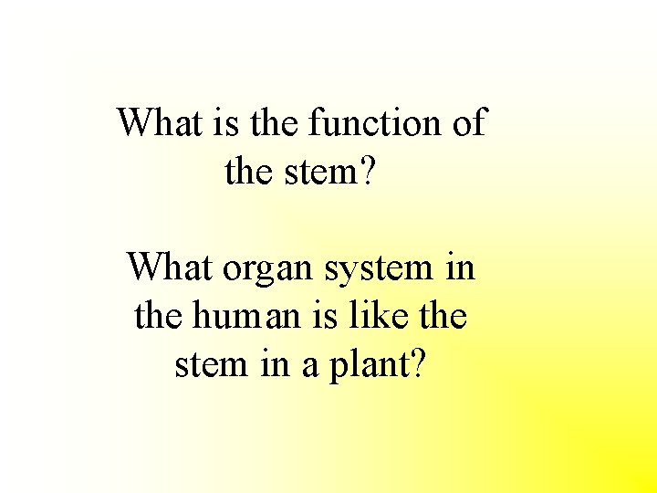 What is the function of the stem? What organ system in the human is