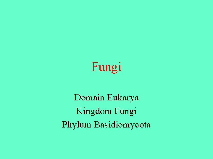Fungi Domain Eukarya Kingdom Fungi Phylum Basidiomycota 