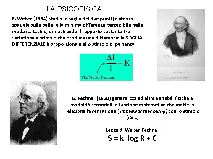 LA PSICOFISICA E. Weber (1834) studia la soglia dei due punti (distanza spaziale sulla LA PSICOFISICA E. Weber (1834) studia la soglia dei due punti (distanza spaziale sulla