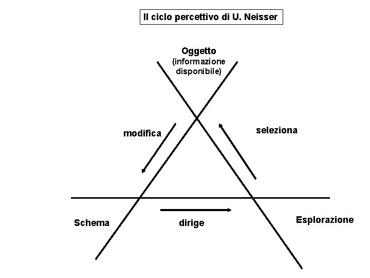 Il ciclo percettivo di U. Neisser Oggetto (informazione disponibile) seleziona modifica Schema dirige Esplorazione Il ciclo percettivo di U. Neisser Oggetto (informazione disponibile) seleziona modifica Schema dirige Esplorazione
