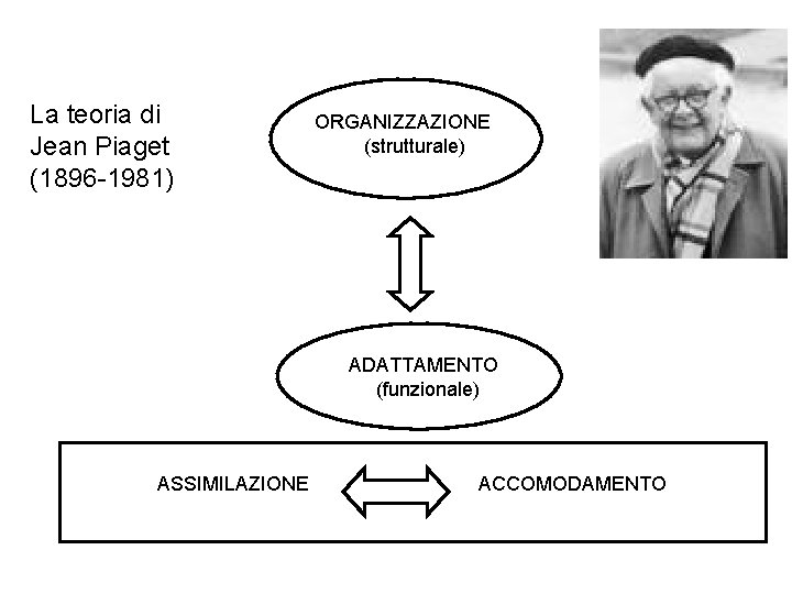 La teoria di Jean Piaget (1896 -1981) ORGANIZZAZIONE (strutturale) ADATTAMENTO (funzionale) ASSIMILAZIONE ACCOMODAMENTO La teoria di Jean Piaget (1896 -1981) ORGANIZZAZIONE (strutturale) ADATTAMENTO (funzionale) ASSIMILAZIONE ACCOMODAMENTO