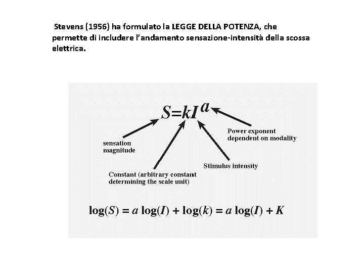 Stevens (1956) ha formulato la LEGGE DELLA POTENZA, che permette di includere l’andamento sensazione-intensità Stevens (1956) ha formulato la LEGGE DELLA POTENZA, che permette di includere l’andamento sensazione-intensità