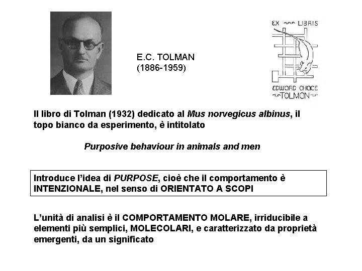 E. C. TOLMAN (1886 -1959) Il libro di Tolman (1932) dedicato al Mus norvegicus E. C. TOLMAN (1886 -1959) Il libro di Tolman (1932) dedicato al Mus norvegicus