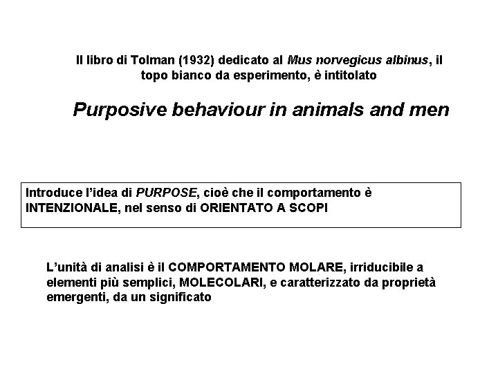 Il libro di Tolman (1932) dedicato al Mus norvegicus albinus, il topo bianco da Il libro di Tolman (1932) dedicato al Mus norvegicus albinus, il topo bianco da