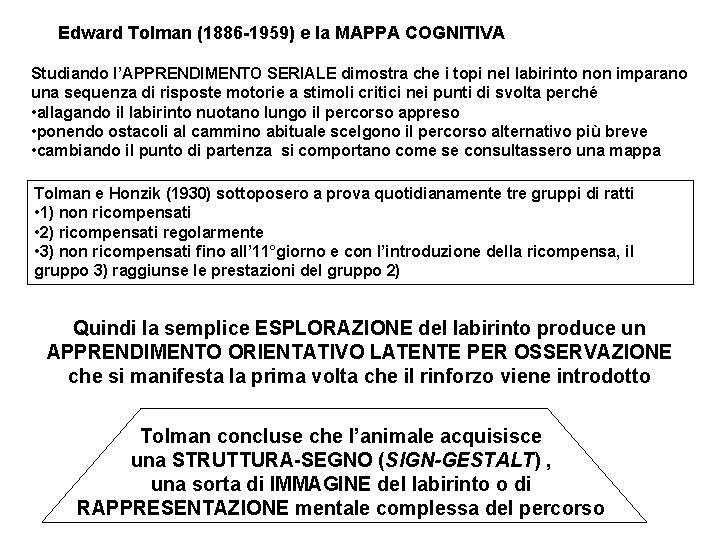 Edward Tolman (1886 -1959) e la MAPPA COGNITIVA Studiando l’APPRENDIMENTO SERIALE dimostra che i Edward Tolman (1886 -1959) e la MAPPA COGNITIVA Studiando l’APPRENDIMENTO SERIALE dimostra che i