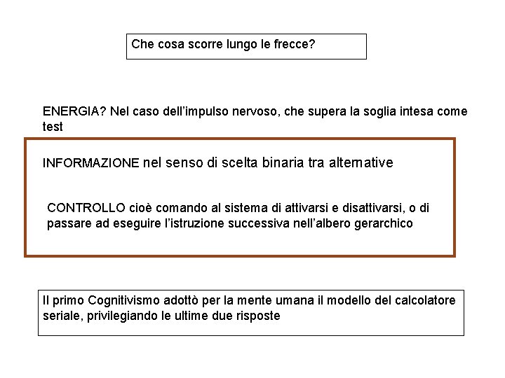 Che cosa scorre lungo le frecce? ENERGIA? Nel caso dell’impulso nervoso, che supera la Che cosa scorre lungo le frecce? ENERGIA? Nel caso dell’impulso nervoso, che supera la