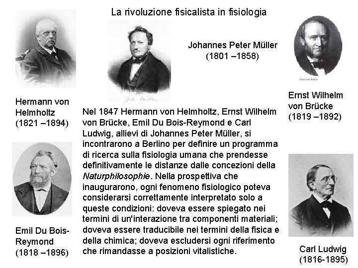 La rivoluzione fisicalista in fisiologia Johannes Peter Müller (1801 – 1858) Hermann von Helmholtz La rivoluzione fisicalista in fisiologia Johannes Peter Müller (1801 – 1858) Hermann von Helmholtz