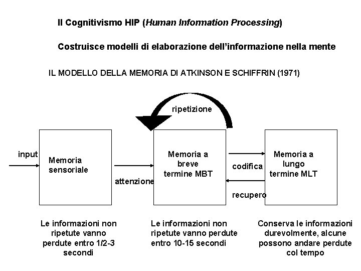 Il Cognitivismo HIP (Human Information Processing) Costruisce modelli di elaborazione dell’informazione nella mente IL Il Cognitivismo HIP (Human Information Processing) Costruisce modelli di elaborazione dell’informazione nella mente IL
