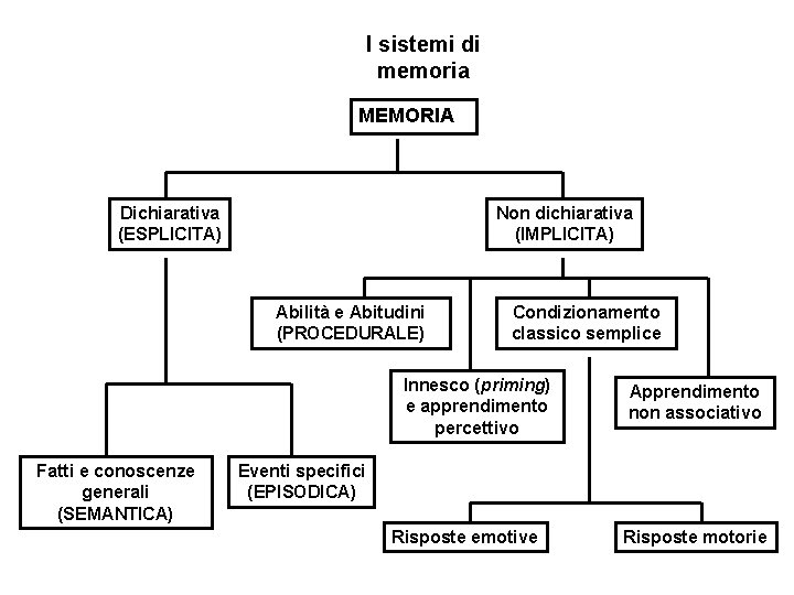 I sistemi di memoria MEMORIA Dichiarativa (ESPLICITA) Non dichiarativa (IMPLICITA) Abilità e Abitudini (PROCEDURALE) I sistemi di memoria MEMORIA Dichiarativa (ESPLICITA) Non dichiarativa (IMPLICITA) Abilità e Abitudini (PROCEDURALE)