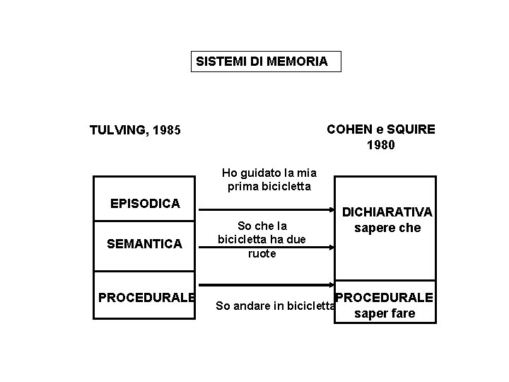 SISTEMI DI MEMORIA COHEN e SQUIRE 1980 TULVING, 1985 Ho guidato la mia prima SISTEMI DI MEMORIA COHEN e SQUIRE 1980 TULVING, 1985 Ho guidato la mia prima