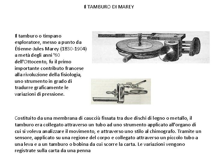 Il TAMBURO DI MAREY Il tamburo o timpano esploratore, messo a punto da Étienne-Jules Il TAMBURO DI MAREY Il tamburo o timpano esploratore, messo a punto da Étienne-Jules