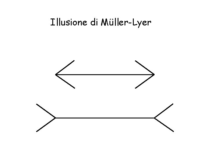 Illusione di Müller-Lyer Illusione di Müller-Lyer