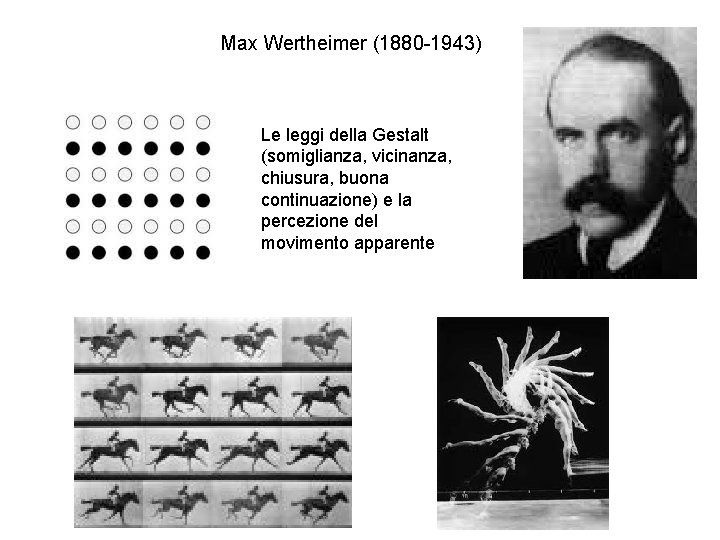 Max Wertheimer (1880 -1943) Le leggi della Gestalt (somiglianza, vicinanza, chiusura, buona continuazione) e Max Wertheimer (1880 -1943) Le leggi della Gestalt (somiglianza, vicinanza, chiusura, buona continuazione) e