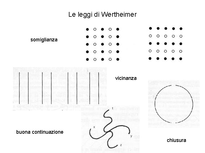 Le leggi di Wertheimer somiglianza vicinanza buona continuazione chiusura Le leggi di Wertheimer somiglianza vicinanza buona continuazione chiusura