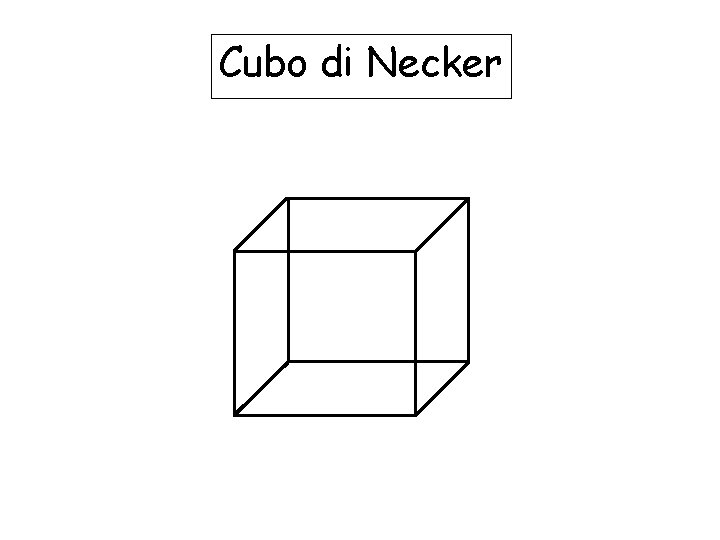Cubo di Necker Cubo di Necker