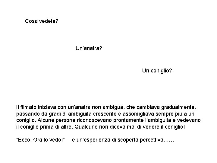 Cosa vedete? Un’anatra? Un coniglio? Il filmato iniziava con un’anatra non ambigua, che cambiava Cosa vedete? Un’anatra? Un coniglio? Il filmato iniziava con un’anatra non ambigua, che cambiava