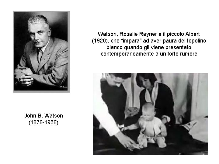 Watson, Rosalie Rayner e il piccolo Albert (1920), che “impara” ad aver paura del Watson, Rosalie Rayner e il piccolo Albert (1920), che “impara” ad aver paura del