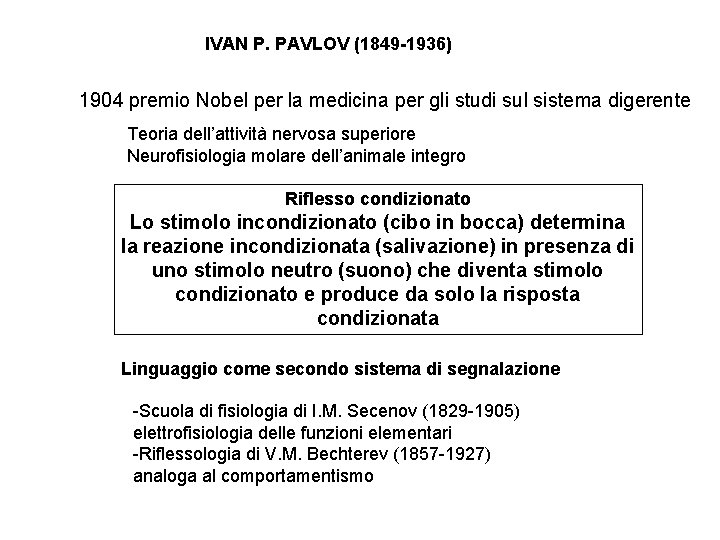 IVAN P. PAVLOV (1849 -1936) 1904 premio Nobel per la medicina per gli studi IVAN P. PAVLOV (1849 -1936) 1904 premio Nobel per la medicina per gli studi
