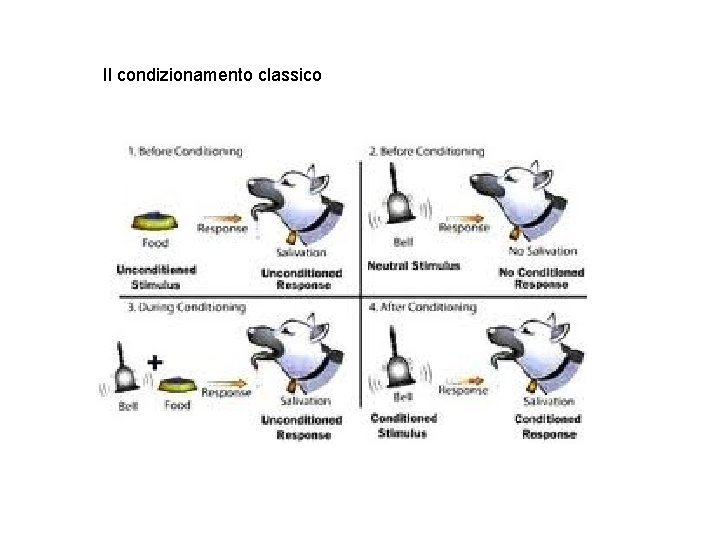 Il condizionamento classico Il condizionamento classico