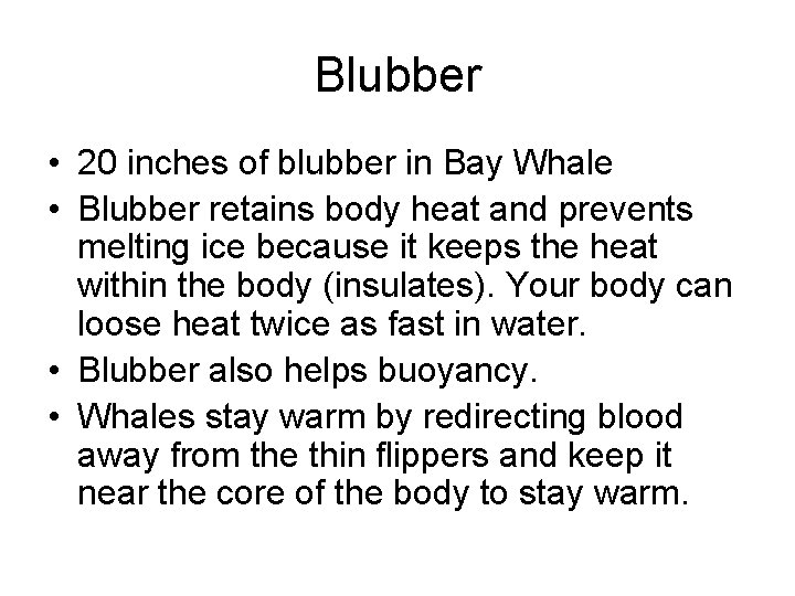 Blubber • 20 inches of blubber in Bay Whale • Blubber retains body heat Blubber • 20 inches of blubber in Bay Whale • Blubber retains body heat