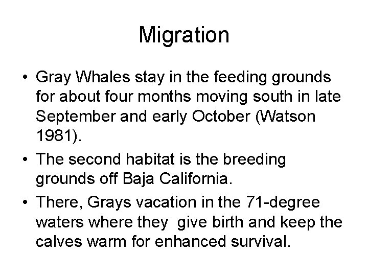 Migration • Gray Whales stay in the feeding grounds for about four months moving Migration • Gray Whales stay in the feeding grounds for about four months moving