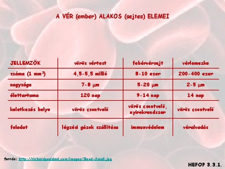 A VÉR (ember) ALAKOS (sejtes) ELEMEI JELLEMZŐK vörös vértest fehérvérsejt vérlemezke száma (1 mm