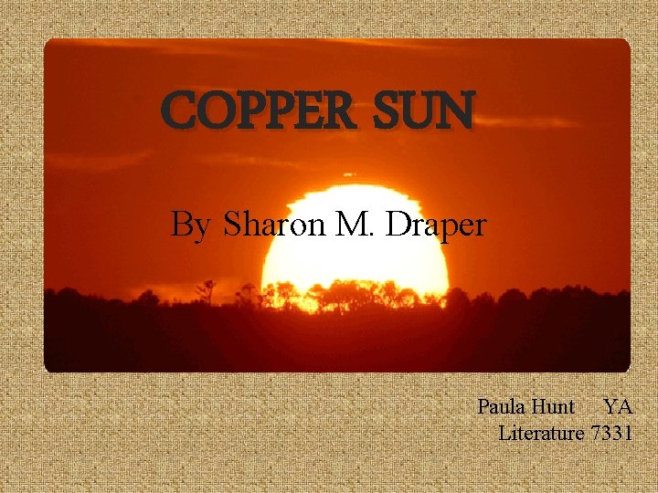 COPPER SUN By Sharon M. Draper Paula Hunt YA Literature 7331 