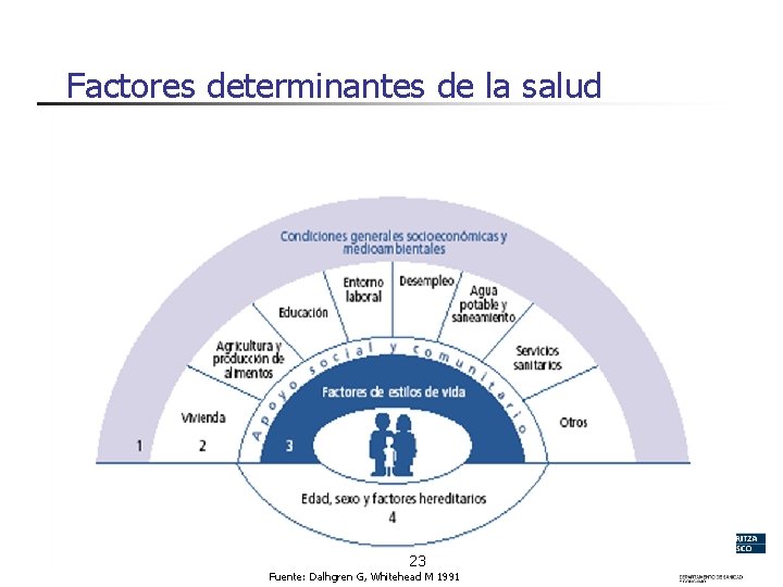 Factores determinantes de la salud 23 Fuente: Dalhgren G, Whitehead M 1991 