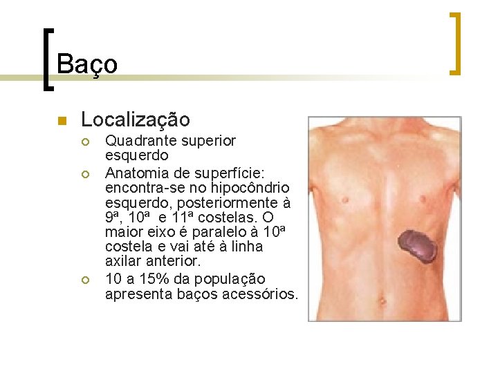 Baço n Localização ¡ ¡ ¡ Quadrante superior esquerdo Anatomia de superfície: encontra-se no