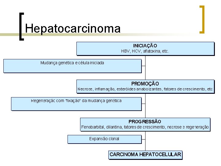 Hepatocarcinoma 